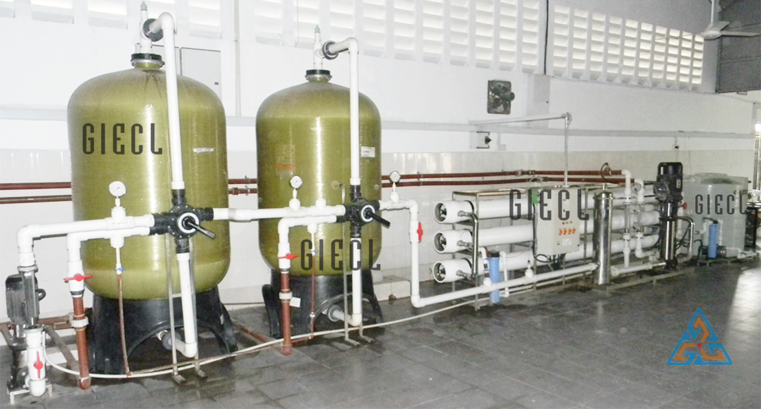 Brackish Water Plant